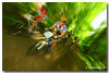 Ritchey MTB Challenge | Patrick Schleinkofer